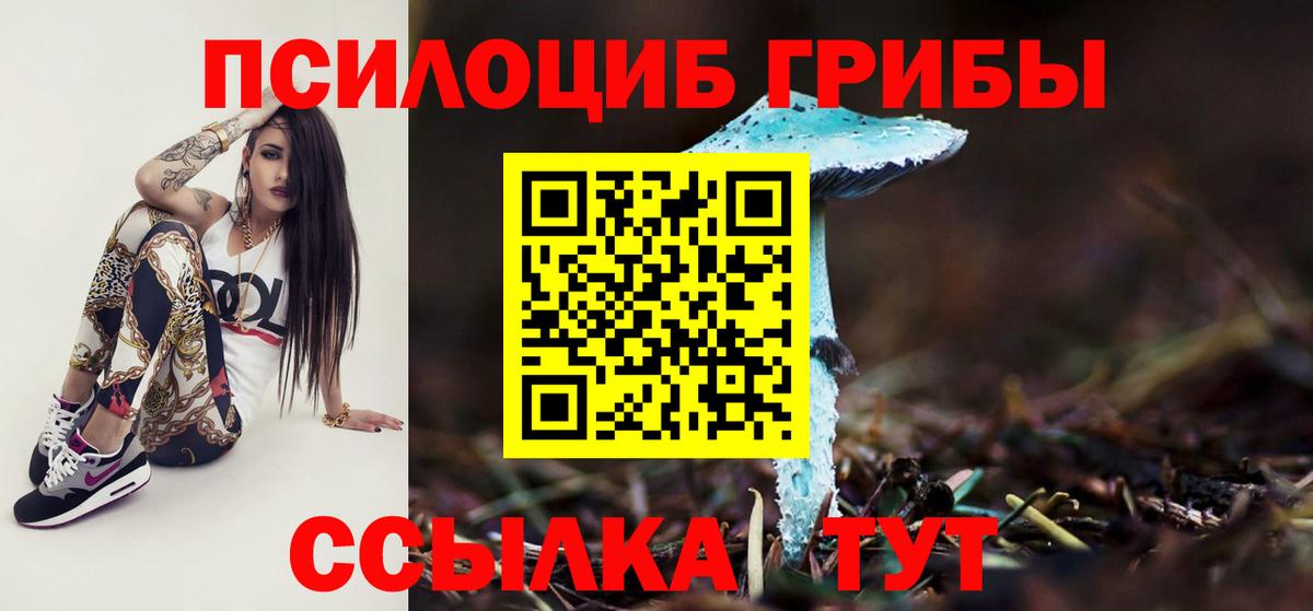 Гулькевичи  Галлюциногенные грибы прущие грибы  где купить   Вход с VPN 